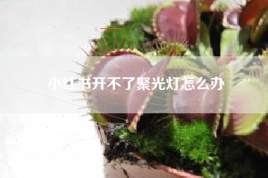 小红书开不了聚光灯怎么办