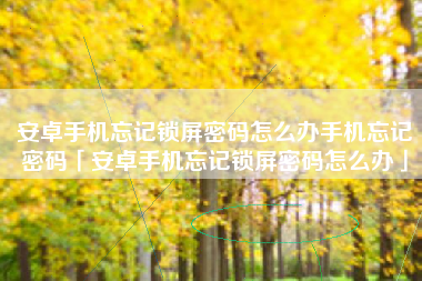 安卓手机忘记锁屏密码怎么办手机忘记密码「安卓手机忘记锁屏密码怎么办」