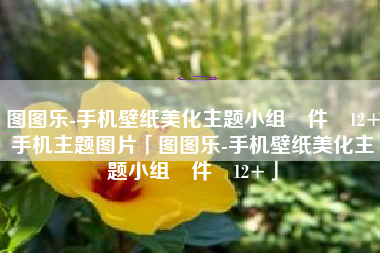 图图乐-手机壁纸美化主题小组‪件‬12+手机主题图片「图图乐-手机壁纸美化主题小组‪件‬12+」