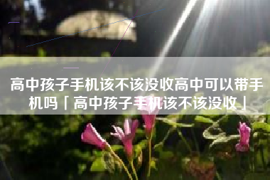 高中孩子手机该不该没收高中可以带手机吗「高中孩子手机该不该没收」