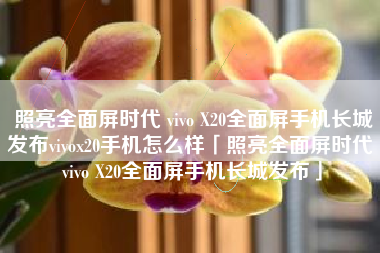 照亮全面屏时代 vivo X20全面屏手机长城发布vivox20手机怎么样「照亮全面屏时代 vivo X20全面屏手机长城发布」