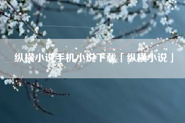 纵横小说手机小说下载「纵横小说」