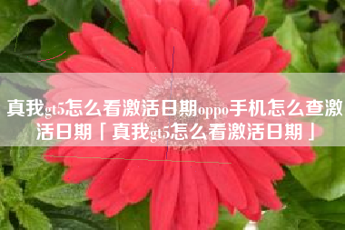 真我gt5怎么看激活日期oppo手机怎么查激活日期「真我gt5怎么看激活日期」