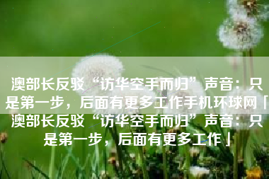 澳部长反驳“访华空手而归”声音：只是第一步，后面有更多工作手机环球网「澳部长反驳“访华空手而归”声音：只是第一步，后面有更多工作」