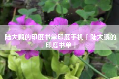 陆大鹏的印度书单印度手机「陆大鹏的印度书单」