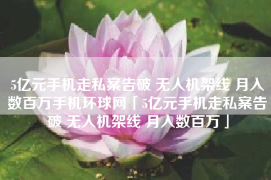 5亿元手机走私案告破 无人机架线 月入数百万手机环球网「5亿元手机走私案告破 无人机架线 月入数百万」