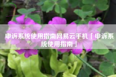 申诉系统使用指南网易云手机「申诉系统使用指南」