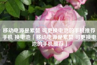 移动电源是累赘 可更换电池的手机推荐手机 换电池「移动电源是累赘 可更换电池的手机推荐」
