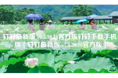 钉钉最新版 v7.5.30.10官方版钉钉下载手机版「钉钉最新版 v7.5.30.10官方版」