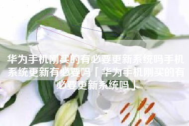 华为手机刚买的有必要更新系统吗手机系统更新有必要吗「华为手机刚买的有必要更新系统吗」 华为手机刚买的有必要更新系统吗手机系统更新有必要吗「华为手机刚买的有必要更新系统吗」