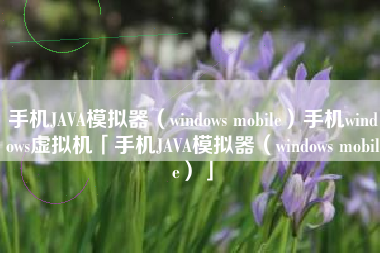 手机JAVA模拟器(windows mobile)手机windows虚拟机「手机JAVA模拟器(windows mobile)」 手机JAVA模拟器(windows mobile)手机windows虚拟机「手机JAVA模拟器(windows mobile)」