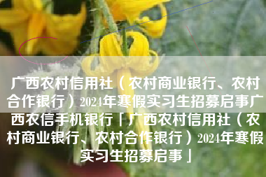 广西农村信用社（农村商业银行、农村合作银行）2024年寒假实习生招募启事广西农信手机银行「广西农村信用社（农村商业银行、农村合作银行）2024年寒假实习生招募启事」