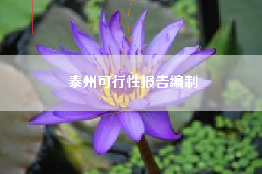 泰州可行性报告编制