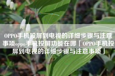 OPPO手机投屏到电视的详细步骤与注意事项oppo手机投屏功能在哪「OPPO手机投屏到电视的详细步骤与注意事项」