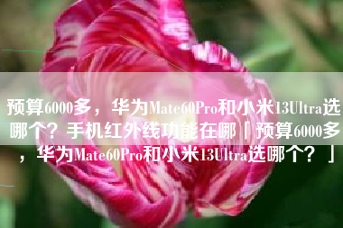 预算6000多，华为Mate60Pro和小米13Ultra选哪个？手机红外线功能在哪「预算6000多，华为Mate60Pro和小米13Ultra选哪个？」