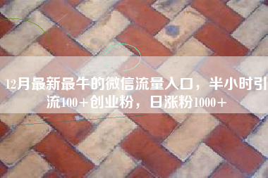 12月最新最牛的微信流量入口，半小时引流100+创业粉，日涨粉1000+