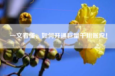 一文看懂，如何开通巨量千川账户！