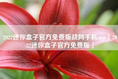 2022迷你盒子官方免费版战网手机app「2022迷你盒子官方免费版」