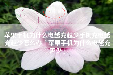 苹果手机为什么电越充越少手机充电越充越少怎么办「苹果手机为什么电越充越少」