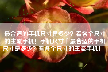 最合适的手机尺寸是多少？看各个尺寸的主流手机！手机尺寸「最合适的手机尺寸是多少？看各个尺寸的主流手机！」