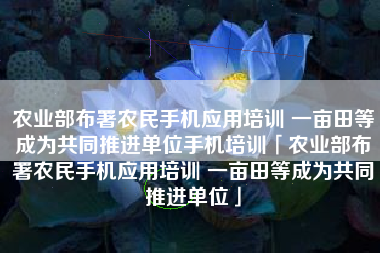 农业部布署农民手机应用培训 一亩田等成为共同推进单位手机培训「农业部布署农民手机应用培训 一亩田等成为共同推进单位」