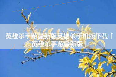 英雄杀手游最新版英雄杀手机版下载「英雄杀手游最新版」