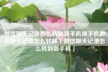 微信聊天记录怎么转到新手机换手机微信聊天记录怎么转移「微信聊天记录怎么转到新手机」