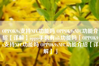 OPPOK9x支持NFC功能吗 OPPOK9xNFC功能介绍【详解】oppo手机有nfc功能吗「OPPOK9x支持NFC功能吗 OPPOK9xNFC功能介绍【详解】」