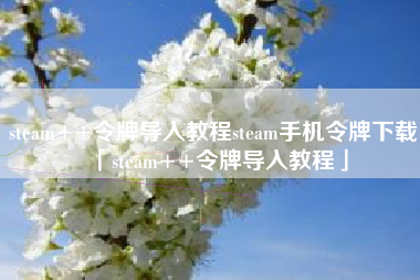 steam++令牌导入教程steam手机令牌下载「steam++令牌导入教程」