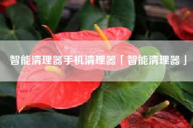 智能清理器手机清理器「智能清理器」