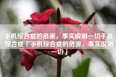 手机综合症的危害，事实说明一切手机综合症「手机综合症的危害，事实说明一切」