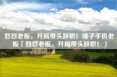 怒怼老板，开局带头辞职！锤子手机老板「怒怼老板，开局带头辞职！」