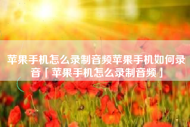 苹果手机怎么录制音频苹果手机如何录音「苹果手机怎么录制音频」