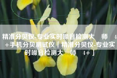 精准分贝仪-专业实时噪音检测大‪师‬4+手机分贝测试仪「精准分贝仪-专业实时噪音检测大‪师‬4+」