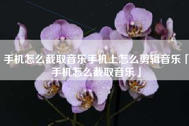 手机怎么截取音乐手机上怎么剪辑音乐「手机怎么截取音乐」