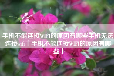 手机不能连接WIFI的原因有哪些手机无法连接wifi「手机不能连接WIFI的原因有哪些」
