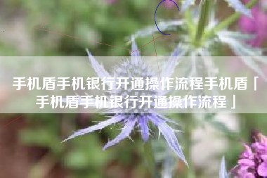手机盾手机银行开通操作流程手机盾「手机盾手机银行开通操作流程」 手机盾手机银行开通操作流程手机盾「手机盾手机银行开通操作流程」