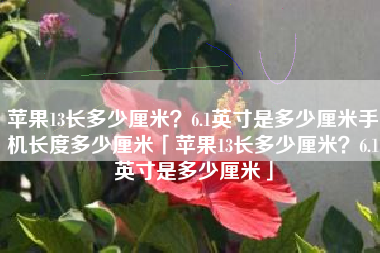 苹果13长多少厘米？6.1英寸是多少厘米手机长度多少厘米「苹果13长多少厘米？6.1英寸是多少厘米」