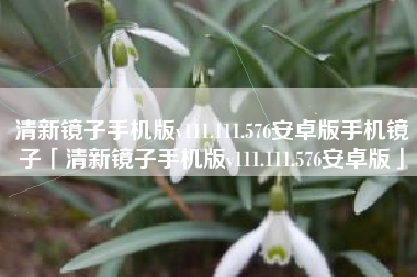 清新镜子手机版v111.111.576安卓版手机镜子「清新镜子手机版v111.111.576安卓版」