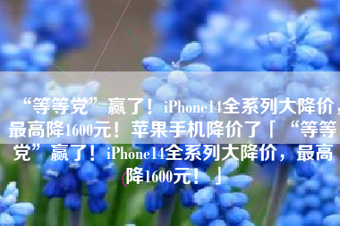 “等等党”赢了！iPhone14全系列大降价，最高降1600元！苹果手机降价了「“等等党”赢了！iPhone14全系列大降价，最高降1600元！」