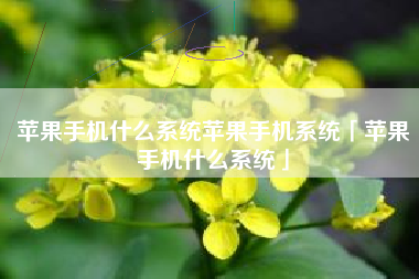 苹果手机什么系统苹果手机系统「苹果手机什么系统」