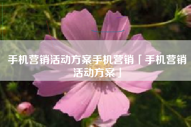 手机营销活动方案手机营销「手机营销活动方案」