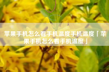 苹果手机怎么看手机温度手机温度「苹果手机怎么看手机温度」