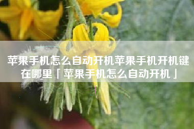 苹果手机怎么自动开机苹果手机开机键在哪里「苹果手机怎么自动开机」