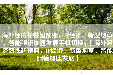 海外经济韧性超预期，IP经济、新型烟草、智能眼镜加速发展手机切换ip「海外经济韧性超预期，IP经济、新型烟草、智能眼镜加速发展」