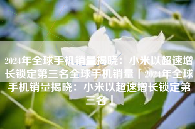 2024年全球手机销量揭晓：小米以超速增长锁定第三名全球手机销量「2024年全球手机销量揭晓：小米以超速增长锁定第三名」