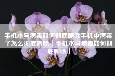 手机木马病毒如何彻底删除手机中病毒了怎么彻底清除「手机木马病毒如何彻底删除」