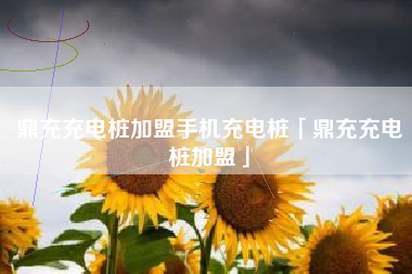 鼎充充电桩加盟手机充电桩「鼎充充电桩加盟」