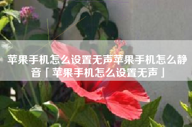 苹果手机怎么设置无声苹果手机怎么静音「苹果手机怎么设置无声」