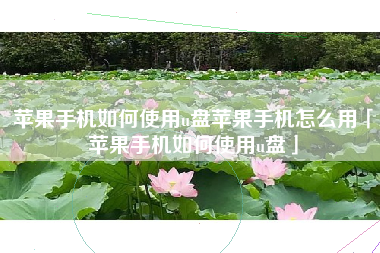 苹果手机如何使用u盘苹果手机怎么用「苹果手机如何使用u盘」